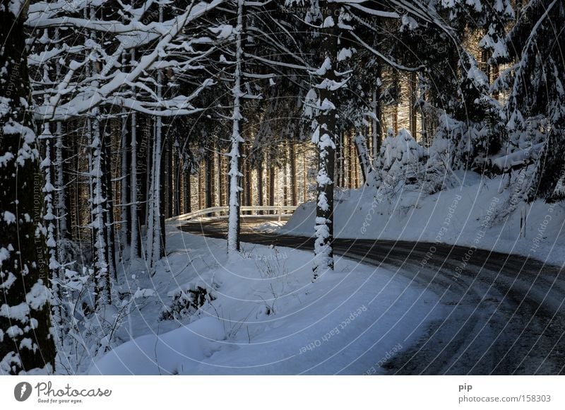S geht ins licht Ferien & Urlaub & Reisen Winter Schnee Wärme Baum Wald Straße Wege & Pfade dunkel hell kalt Ziel Fichtenwald Tanne Serpentinen Frost