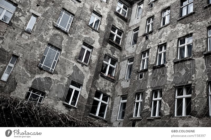 Das Fenster zu Hof Einsamkeit Bruchbude verfallen Verfall grau trist Hinterhof Haus Armut Renovieren Modernisierung verwittert alt Fassade Trauer Verzweiflung
