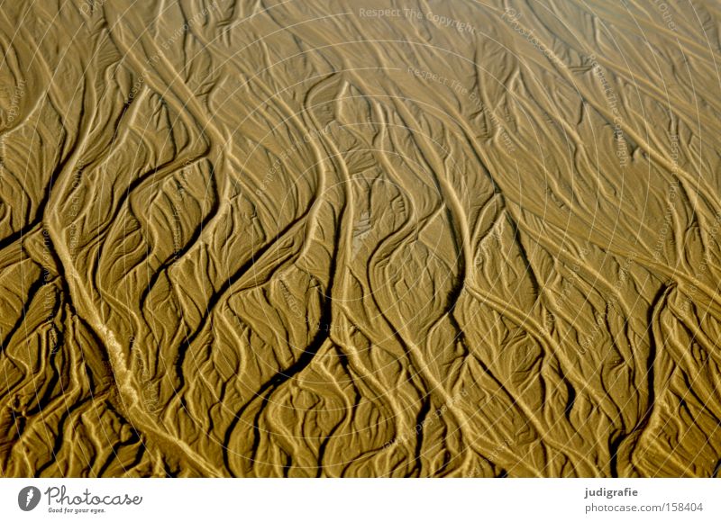 Strandformen Sand Strukturen & Formen Wasserrinne fließen Natur spülen Meer Nordsee Sylt Küste Berge u. Gebirge Tal Flußmündung Farbe Fluss ausgespült Delta
