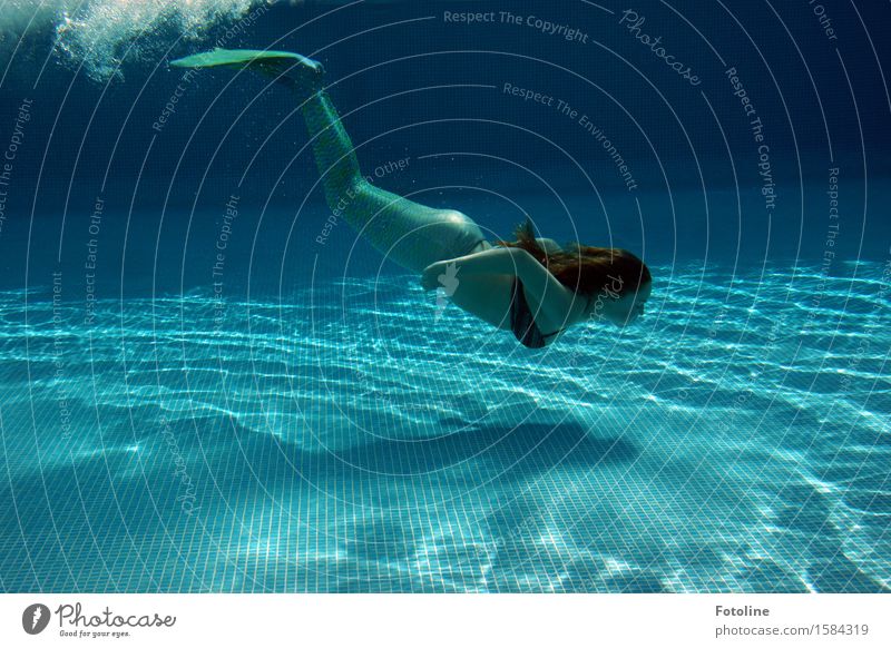Meerjungfrau taucht durch die Tiefe Mensch Junge Frau Jugendliche Haare & Frisuren Arme Beine 1 Urelemente Wasser Sommer Schönes Wetter maritim nass blau grün
