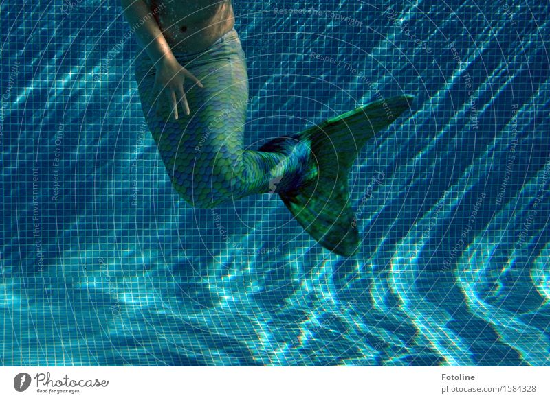 Tanz unter Wasser Mensch feminin Mädchen Kindheit Arme Hand Finger Urelemente Sommer nass blau grün Meerjungfrau Fabelwesen Schwimmhilfe Schwimmen & Baden