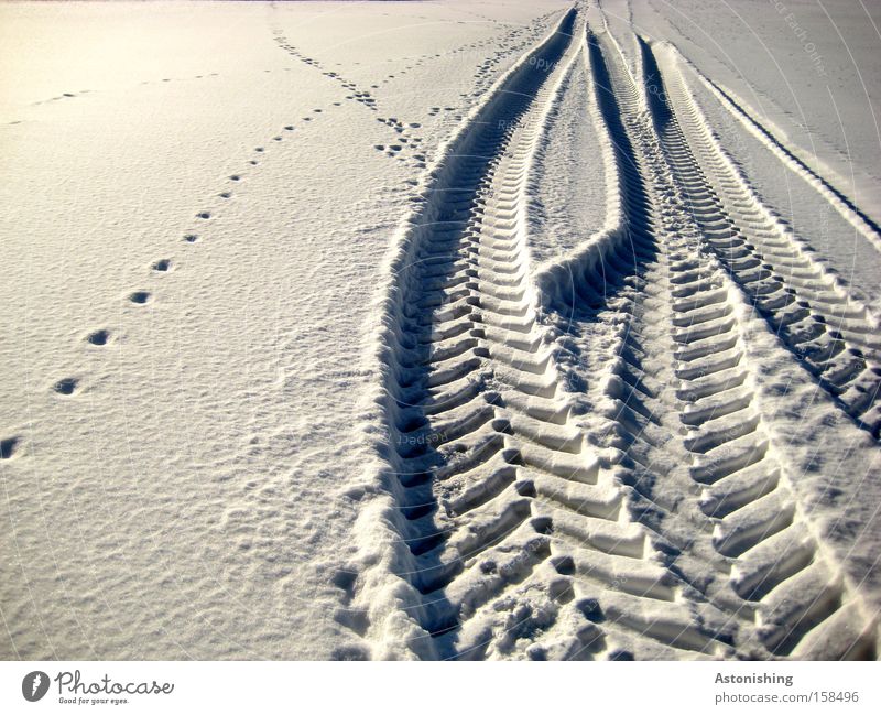 Foto Nummer 100 hinterlässt Spuren Winter Schnee Wetter Eis Frost Wege & Pfade Fahrzeug Fährte kalt weiß Schneespur Licht Schatten Reifenspuren