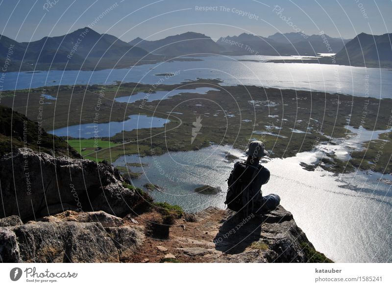 Lofotenaussicht wandern maskulin Mann Erwachsene 1 Mensch 18-30 Jahre Jugendliche Natur Wasser Sommer Felsen Berge u. Gebirge Küste Norwegen beobachten Erholung