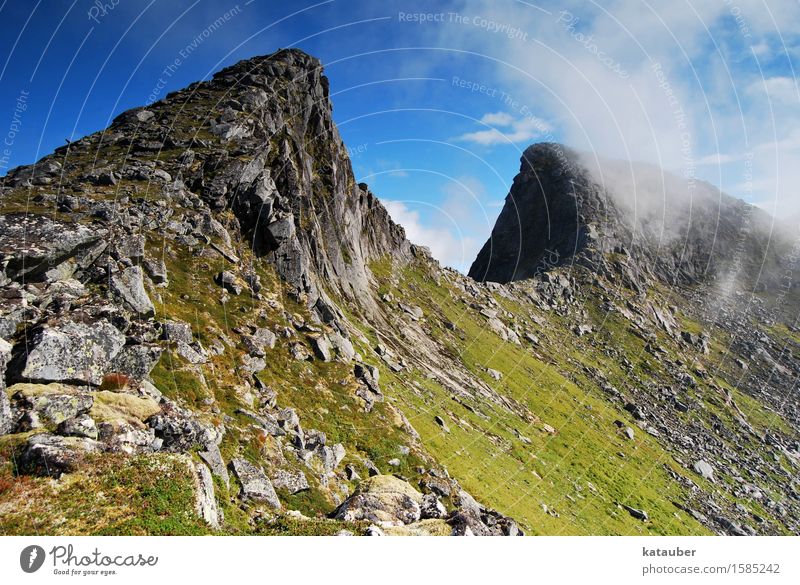 hörnchen Natur Landschaft Himmel Wolken Sonne Schönes Wetter Gras Felsen Gipfel Lofoten Norwegen kroktinden ästhetisch gigantisch Unendlichkeit natürlich saftig