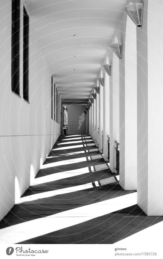 Schatten im schmalen Gang Lampe Tunnel Gebäude Architektur Mauer Wand eckig schwarz weiß Symmetrie schmaler Gang Pfeiler Stützpfeiler eng öffentliches Gebäude