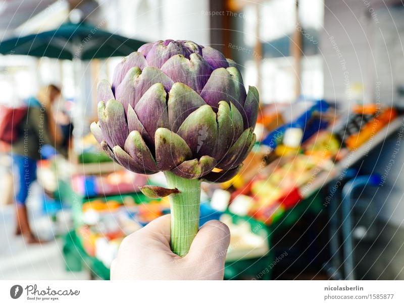 Arti.schocke Lebensmittel Gemüse Ernährung Vegetarische Ernährung kaufen Freude Gesunde Ernährung Freizeit & Hobby Hand beobachten berühren außergewöhnlich