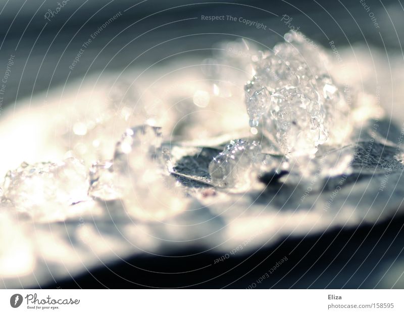 vergänglich Vergänglichkeit Schnee Eis schmelzen Kristallstrukturen Kristalle Blatt Natur Winter Trauer Verzweiflung