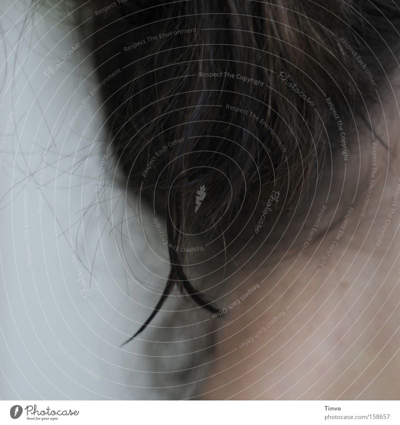 bis in die Spitzen 2 Haare & Frisuren Haarsträhne Haarspitze Frau brünett Nahaufnahme Unschärfe Hals Kopf Nacken Natur Genick