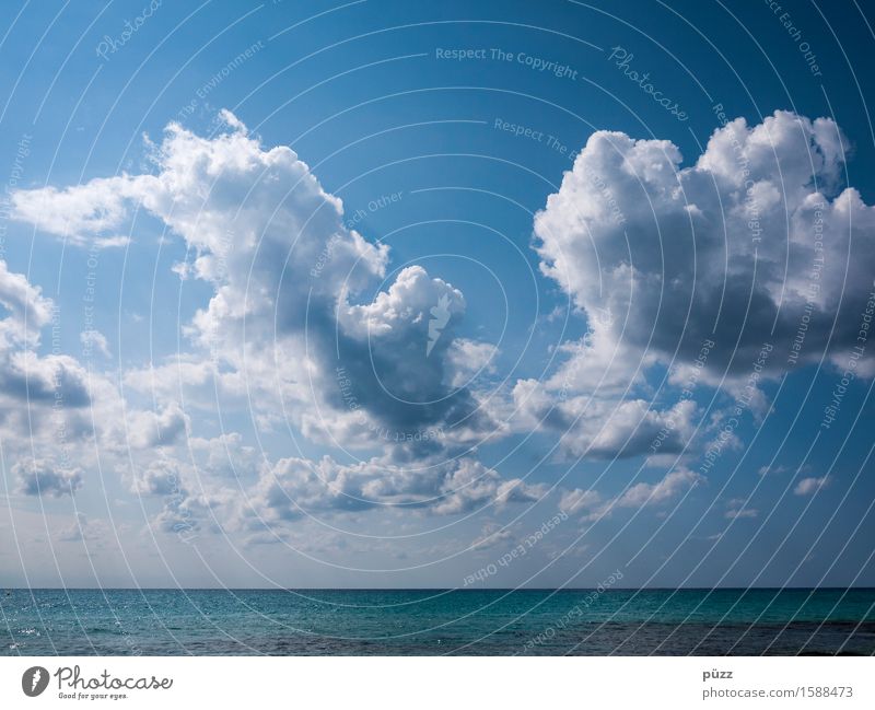 Wolken Erholung ruhig Meditation Schwimmen & Baden Umwelt Natur Landschaft Urelemente Luft Wasser Himmel Horizont Klima Wetter Schönes Wetter Küste Nordsee