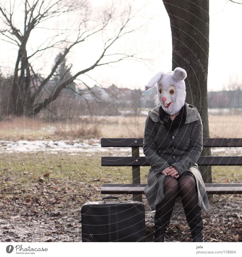 frühling wo bist du Hase & Kaninchen Osterhase Ostern Karneval verkleiden Tier weiß lustig Frau Karnevalskostüm Kostüm Zu früh Freude Winter Koffer Garten Park