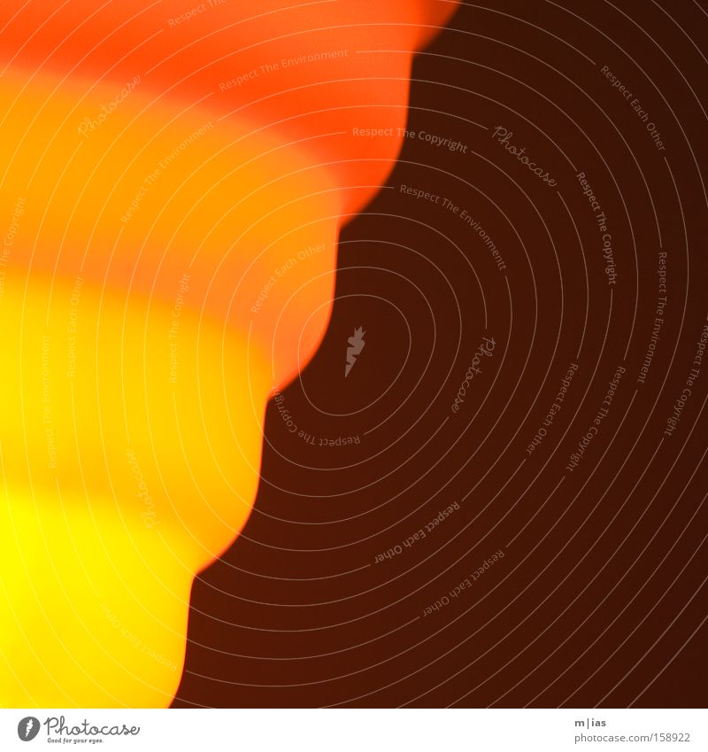 Sommersonnenwende Licht Lampe gelb orange rot Farbverlauf Wärme Muster Design Abenddämmerung Strukturen & Formen Hintergrundbild Detailaufnahme