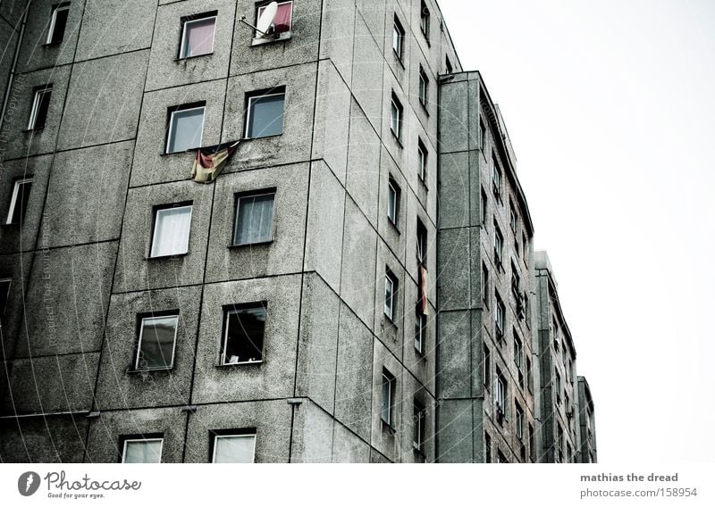 DEUTSCHE LEITKULTUR Architektur Gebäude Plattenbau Fenster Linie verrückt dunkel grau abweisend Deutschland Deutsche Flagge Bundesadler Stolz Patriotismus