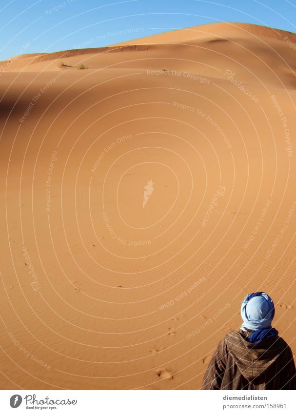 weitsicht Vorschau Aussicht Wüste Sahara Wärme Berber Marokko Sand beige Afrika Erde in die ferne blicken