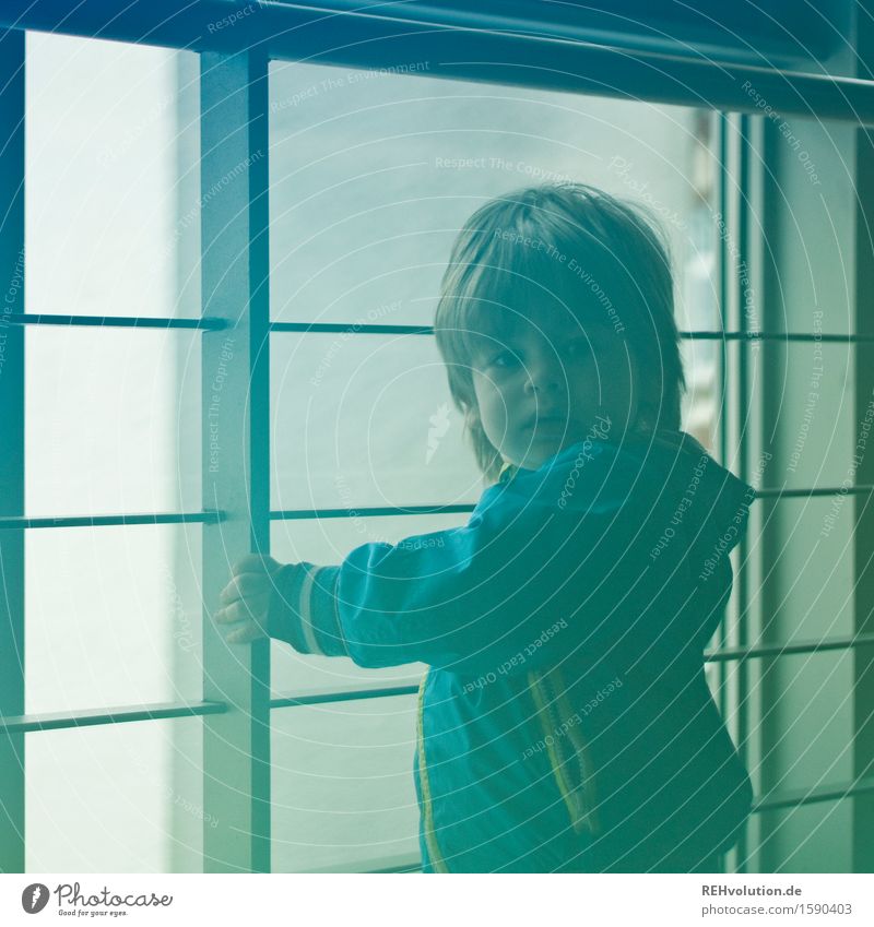 Kleines Kind steht am Fenster Mensch maskulin Kleinkind Junge 1 1-3 Jahre Jacke kurzhaarig stehen klein blau grün Vertrauen Sicherheit Schutz Neugier Abenteuer