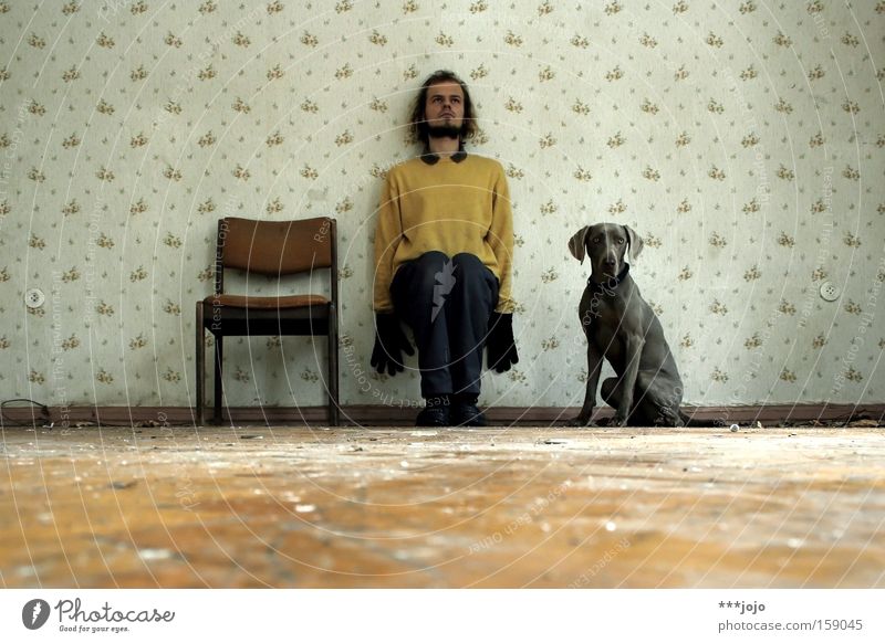 der stuhl / der herr / der hund. [weimar 09] 3 Hund Mann Tapete Stuhl trashig sitzen Wand seltsam Körperhaltung Wachsamkeit Nervosität verfallen Verfall