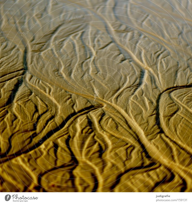 Strandformen Sand Strukturen & Formen Wasserrinne Fluss fließen Natur spülen Meer Nordsee Sylt Küste Berge u. Gebirge Tal Farbe ausgespült