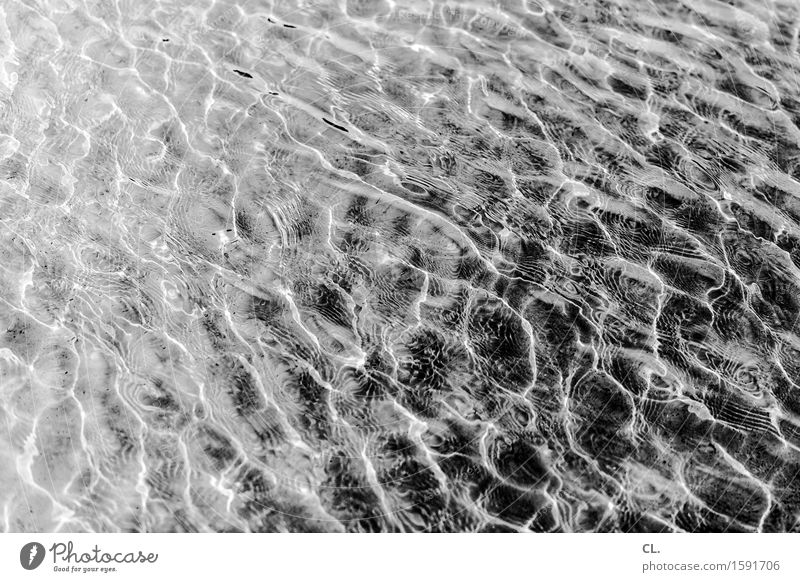 wasser Natur Wasser kalt komplex Wasseroberfläche Schwarzweißfoto Außenaufnahme abstrakt Menschenleer Tag