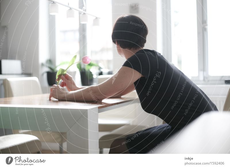 Frau sitzt in Küche, Rücken zugewandt Lifestyle Stil Häusliches Leben Wohnung Tisch Raum Esszimmer Erwachsene Körper 1 Mensch 30-45 Jahre Frühling Sommer Blume