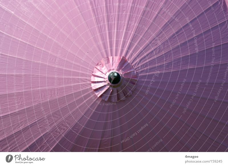 pink paper parasol rosa Regenschirm Sonnenschirm Schirm Japan rund Ferien & Urlaub & Reisen Asien Asiate violett Papier Papierschirmchen Sommer Accessoire