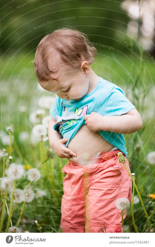 Schau, wo ist mein Bauch botton Baby Kleinkind Mädchen bauchfrei 1 Mensch 1-3 Jahre Umwelt Natur Löwenzahn Garten Park Feld berühren glänzend blau mehrfarbig