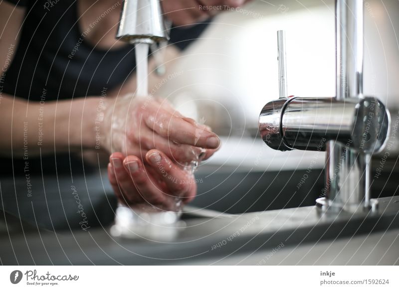 Hände waschen Küche Hausfrau Frau Erwachsene Leben Hand Frauenhand 1 Mensch Wasserhahn Armatur Küchenspüle nass Sauberkeit Reinlichkeit Körperpflege nachhaltig