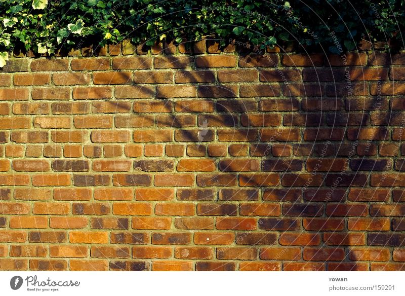 baumschatten Schatten Baum Mauer Wand Backstein rot Grenze Garten Illusion Lichterscheinung