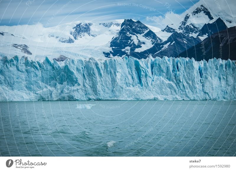 blau Winter Berge u. Gebirge Gletscher Küste kalt weiß Wandel & Veränderung Perito Moreno Gletscher Am Rand Gletschereis Gedeckte Farben Menschenleer