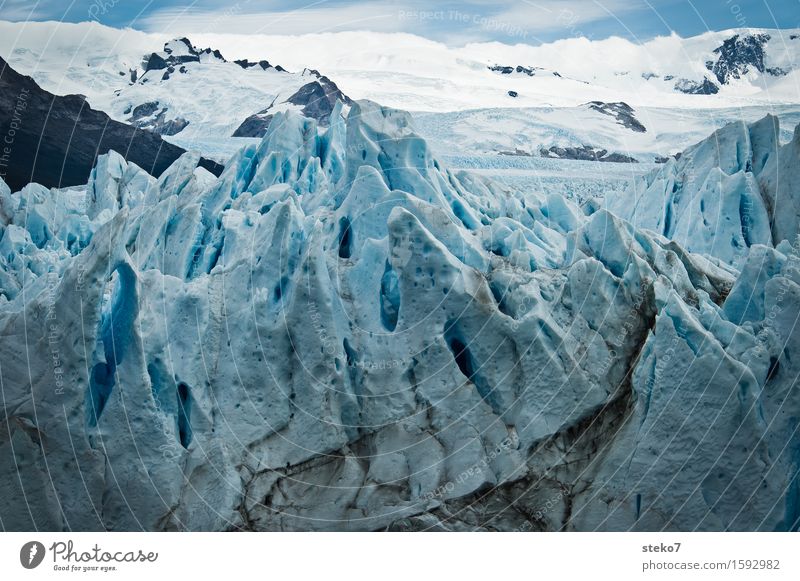 Eiszeit Berge u. Gebirge Schneebedeckte Gipfel Gletscher frieren eckig kalt blau weiß bizarr Vergänglichkeit Wandel & Veränderung Perito Moreno Gletscher steil