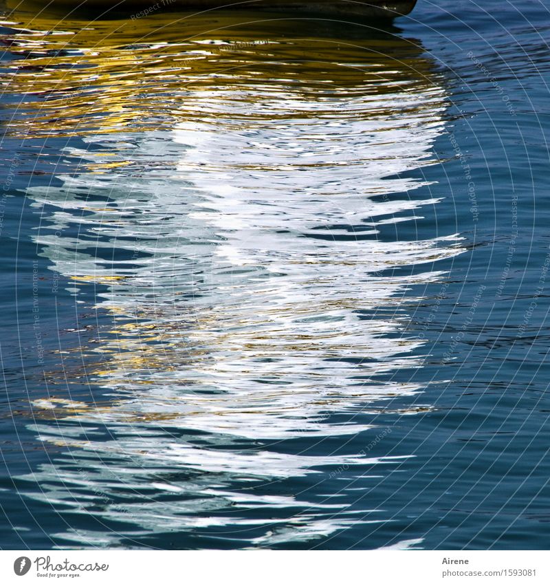 schwankende Gestalt Segeln Wassersport Urelemente Sommer Schönes Wetter Wellen See Bootsfahrt Segelboot fantastisch maritim blau weiß Freude