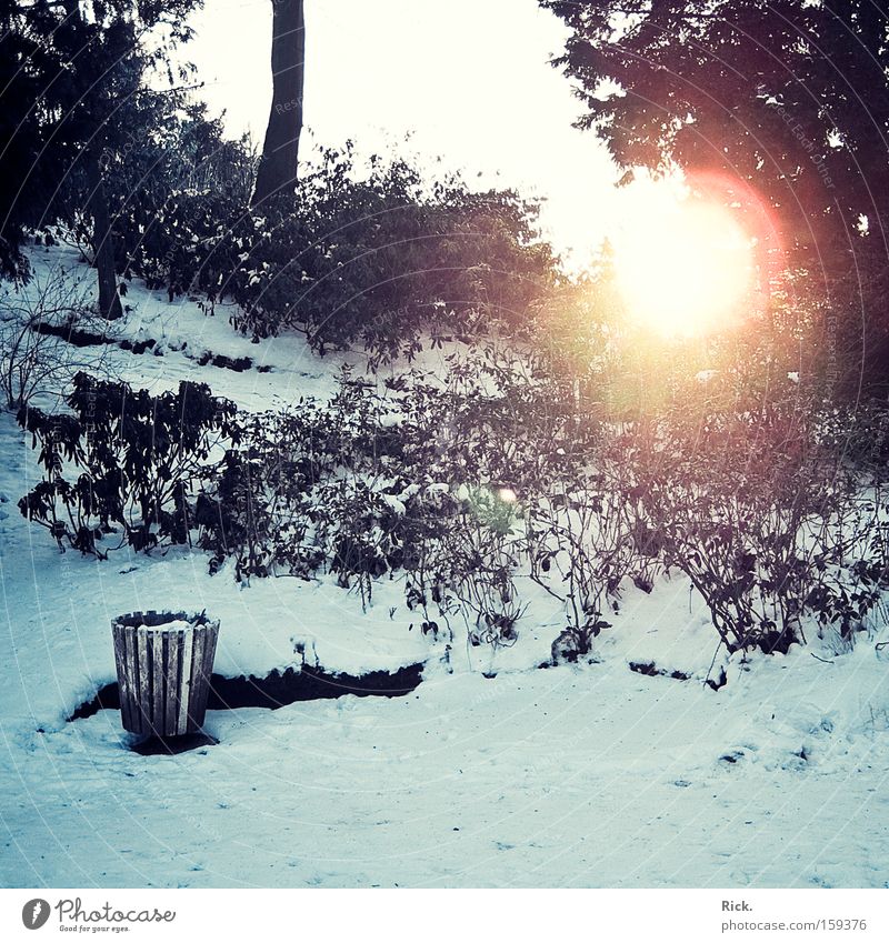 .Winter is gone. Farbfoto Außenaufnahme Menschenleer Licht Schatten Sonnenstrahlen Zentralperspektive Sinnesorgane Erholung ruhig Schnee Garten Natur Himmel Eis