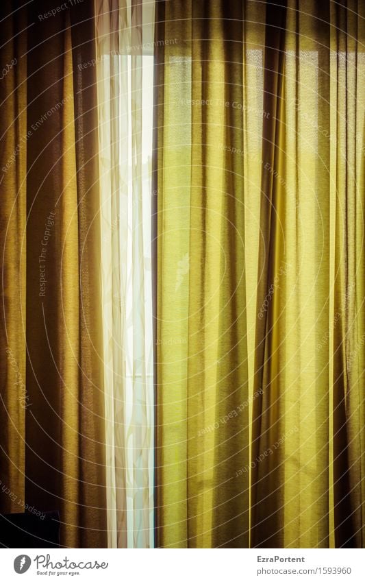 Vorhang auf - 700 - Vorhang zu Häusliches Leben Wohnung Innenarchitektur Dekoration & Verzierung Fenster grün Gardine Schutz Farbfoto Innenaufnahme