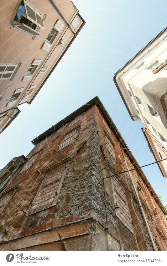 /Y Triest Italien Stadtzentrum Altstadt Haus Gebäude Architektur Mauer Wand Fassade Fenster historisch braun grau rot Kontrast Unbewohnt Ruine Renoviert