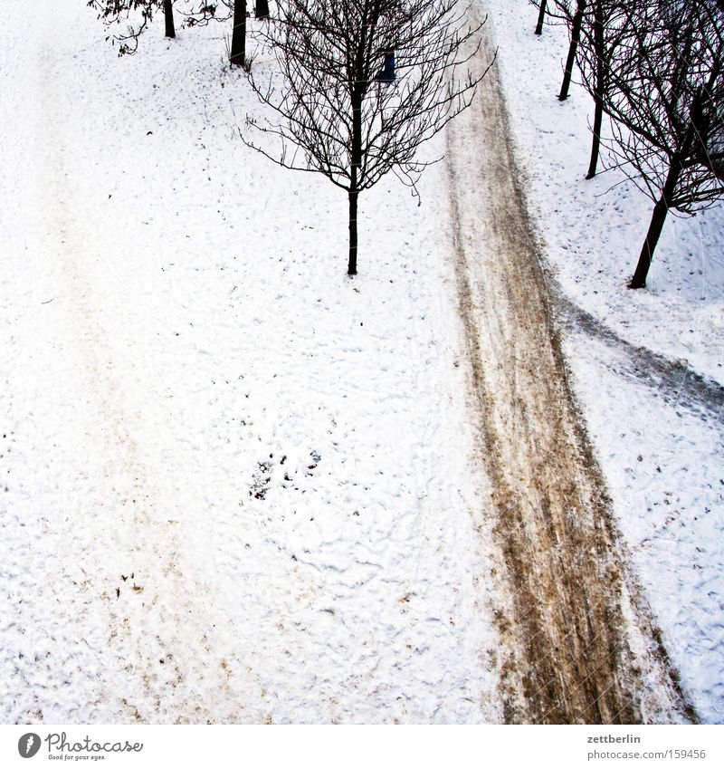 Letzter Schnee Winter Schneedecke Wege & Pfade Fußweg Baum Allee Vogelperspektive Frost Winterdienst Hausmeister Vergänglichkeit Park räumdienst