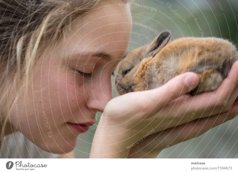 Hab dich soooo lieb Mensch Mädchen Gesicht Hand Finger 1 8-13 Jahre Kind Kindheit Haustier Zwergkaninchen Nagetiere Säugetier Tier Tierjunges Liebe berühren