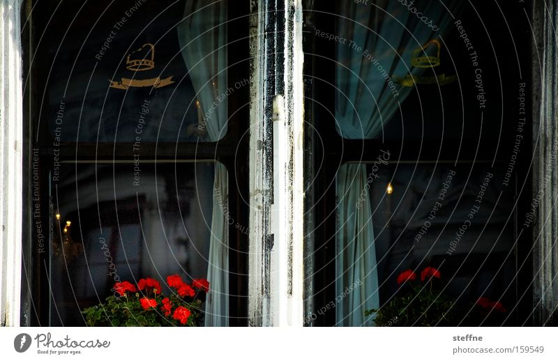 Fensterplatz Blume Reflexion & Spiegelung Venedig Italien Vorhang Gardine dunkel trist Häusliches Leben Gefühle Palazzo Traurigkeit