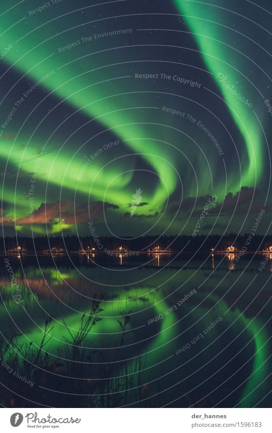auroratracks.116 Natur Himmel Wolken Nachthimmel Horizont Herbst Nordlicht Sträucher Seeufer Fjord Bewegung außergewöhnlich Unendlichkeit demütig geheimnisvoll