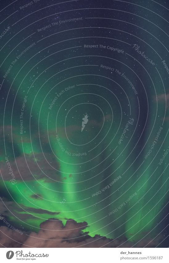 aurora.113 Umwelt Natur nur Himmel Wolken Nachthimmel Stern Herbst Nordlicht Bewegung leuchten außergewöhnlich fantastisch demütig Überraschung Farbfoto