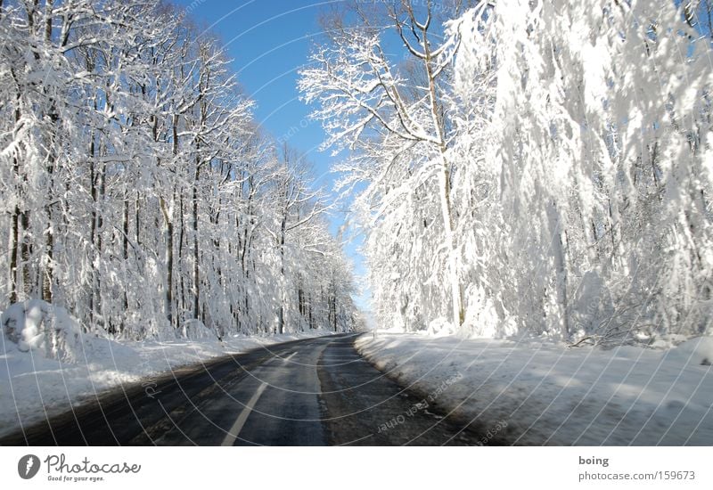 St2316 - Fahrt ins Weiße Straße Landstraße Schnee fahren Winter Wald Winterdienst Glätte alpin Schlamm Kurve Verkehrswege Berge u. Gebirge Winterreifen