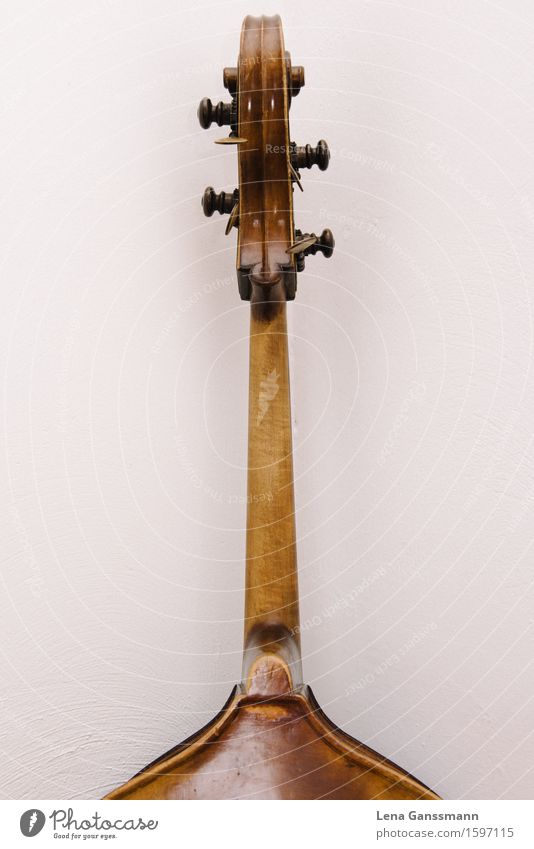 Kopf von einem Kontrabass - Ansicht von hinten Musik Konzert Musiker Musikinstrument Saiteninstrumente Holz Musik hören warten braun Farbfoto Menschenleer