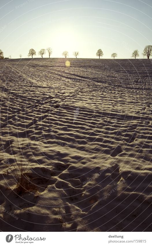 Spuren im Schnee Winter Sonnenuntergang Horizont Gras Feld Fußspur kalt im halteverbot geparkt
