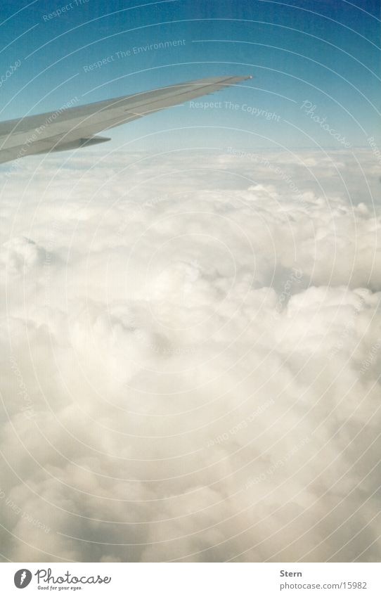 Über den Wolken... Flugzeug Horizont Tragfläche Zuckerwatte Himmel blau fliegen Niveau