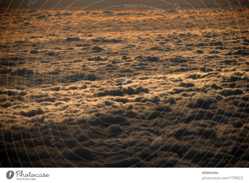 Über den Wolken... Sonnenaufgang Flugzeug Licht Schatten geschlossen Ferne Aussicht Horizont Schnee Unendlichkeit Farbverlauf Freiheit Luftverkehr