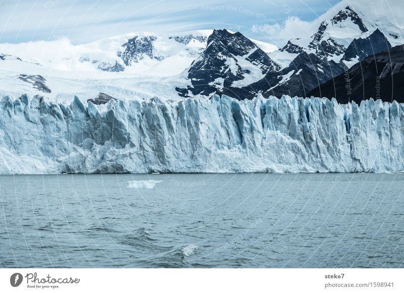 Eisbergfabrik Berge u. Gebirge Schneebedeckte Gipfel Gletscher Küste gigantisch kalt blau weiß Klima Vergänglichkeit Perito Moreno Gletscher Am Rand