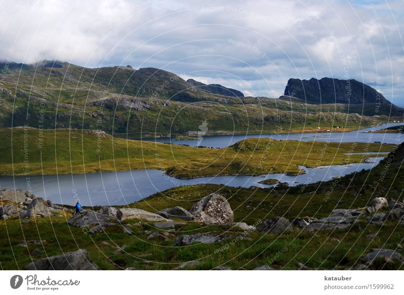 wandern in norwegen Landschaft Wolken Hügel Felsen Berge u. Gebirge Bucht Fjord Meer genießen Blick frei gigantisch maritim grün Lofoten Norwegen ryten Freiheit