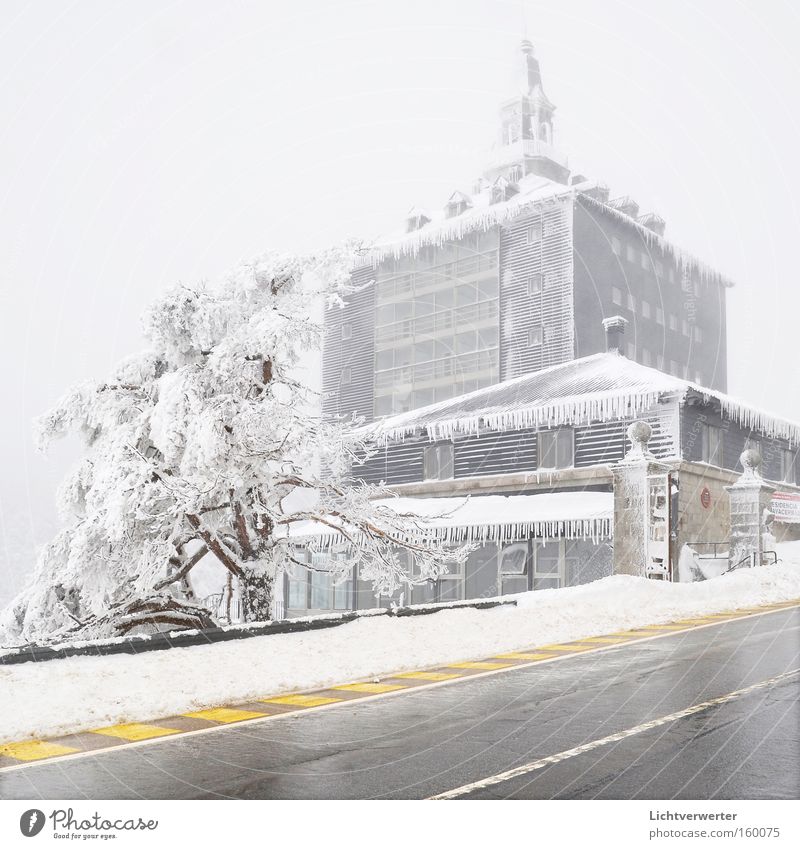 gefrorenes haus Schnee Winter Baum Haus kalt Eis Pass Spanien