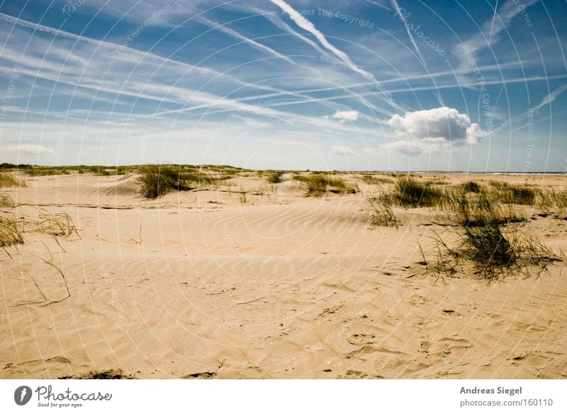 Urlaub!!!! Nordsee Strand Meer Ferien & Urlaub & Reisen Küste Wolken Himmel Sand Erholung Dänemark Kondensstreifen Sommer Stranddüne
