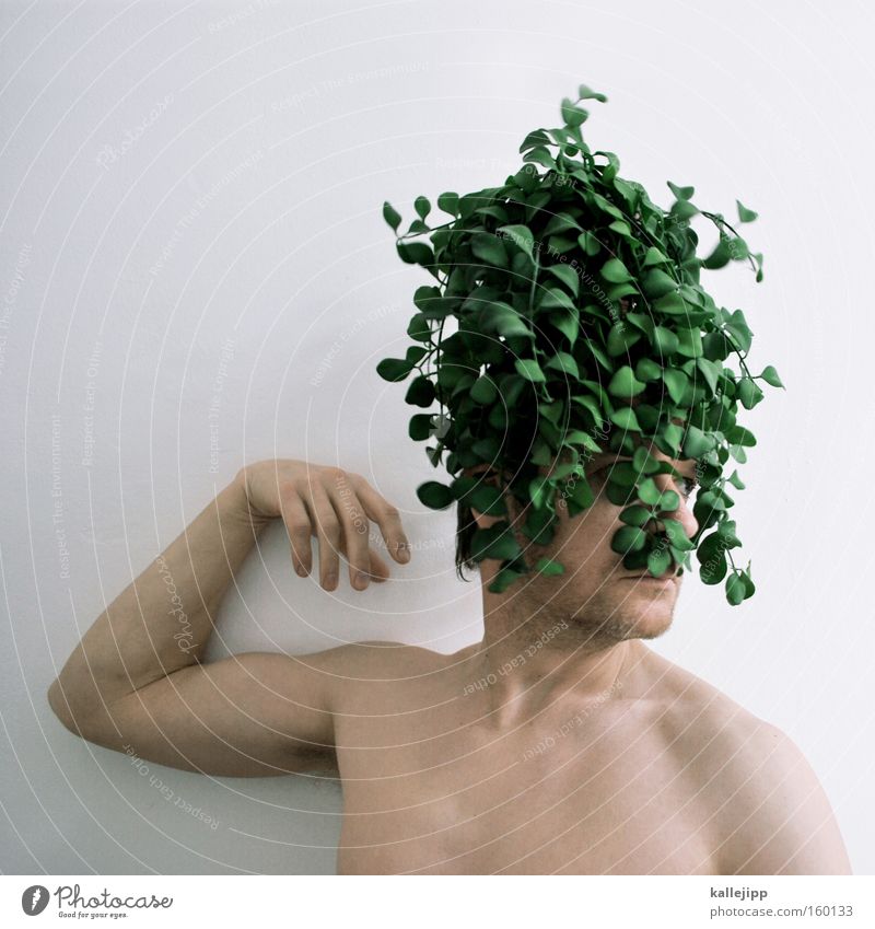 naturlocken Waldmensch Mensch Haare & Frisuren Barock Perücke Pflanze Klimaschutz grün Natur nachhaltig Umwelt verrückt Umweltschutz