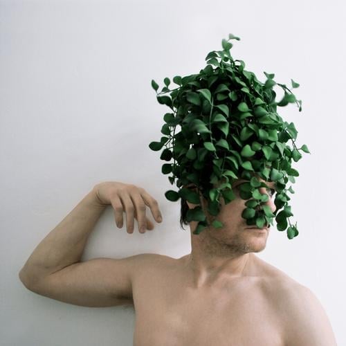 naturlocken Waldmensch Mensch Haare & Frisuren Barock Perücke Pflanze Klimaschutz grün Natur nachhaltig Umwelt verrückt Umweltschutz