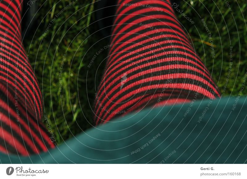 DickBeinChen Gras Wiese grün rot-schwarz gestreift Streifen Ringelstrümpfe Perspektive Mensch Bekleidung petrol ringelstrumpfhose Rasen Beine