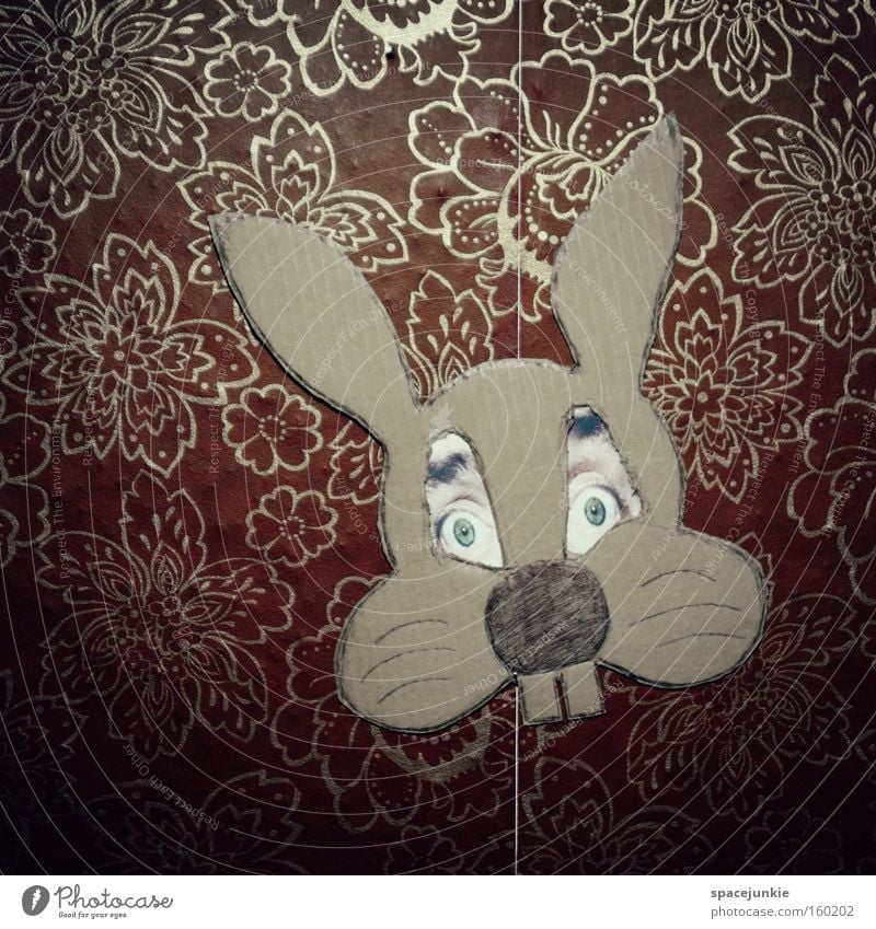 Die Osterfratze Ostern Osterhase Hase & Kaninchen Maske Auge Tapete verkleiden Karnevalskostüm Humor lustig skurril Freude